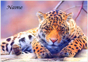 Dreaming Jaguar - Personalised Dreaming Jaguar - Personalised