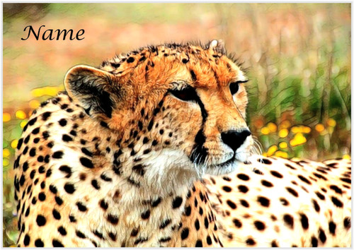 Cheetah Alert - Personalised