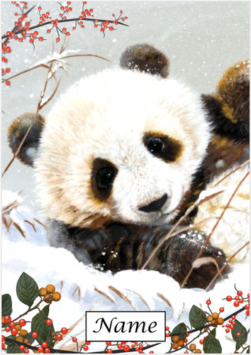 Snow Panda Portrait - Personalised