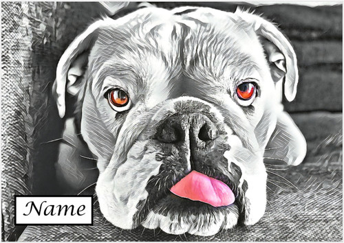 Cheeky Charcoal Bulldog - Personalised