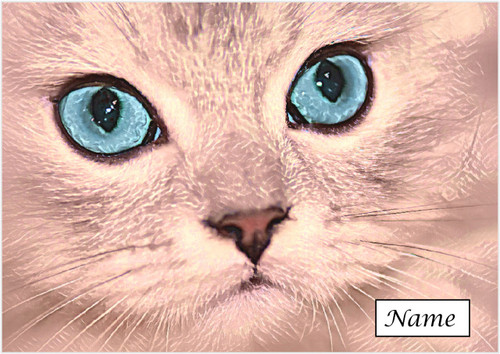 Pastel Painted Cat - Personalised