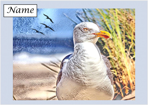 Seagull in the Dunes - Personalised