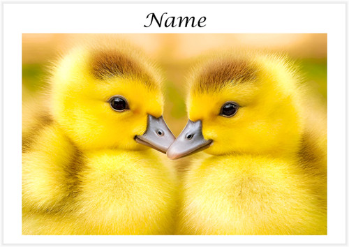 Cuddle Ducklings - Personalised