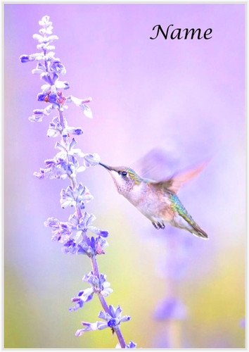 Nectar Sipping Hummingbird - Personalised
