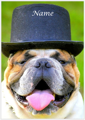 Top Hat BullDog - Personalised