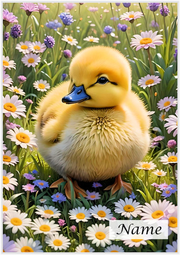 Duckling in the Daisies - Personalised