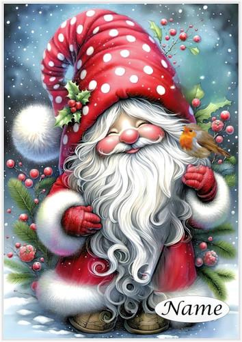 Santa Gnome & Robin - Personalised