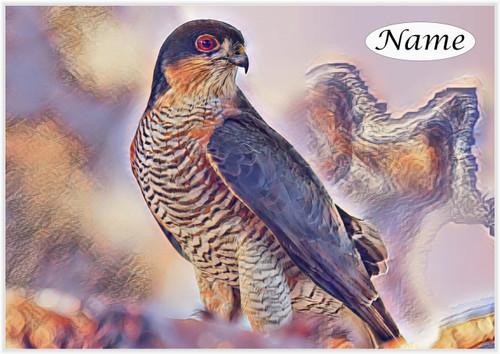 Goshawk - Personalised