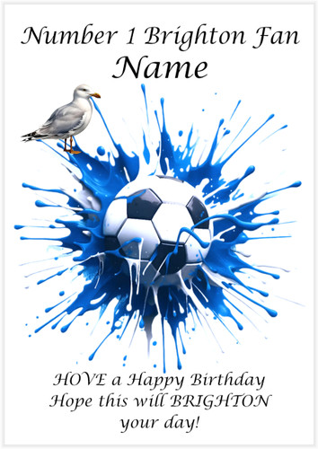 Brighton and Hove Albion Football Fan - Personalised