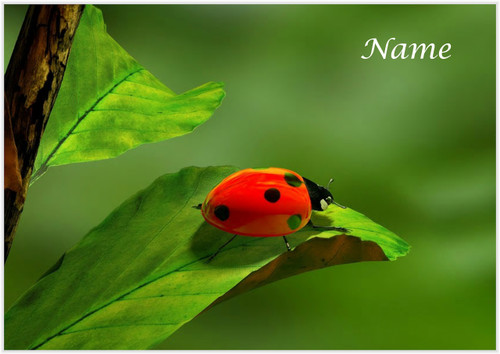 Ladybird Leaf - Personalised