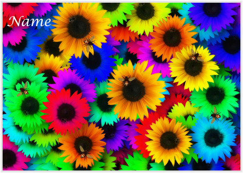 Rainbow Flower Bees - Personalised