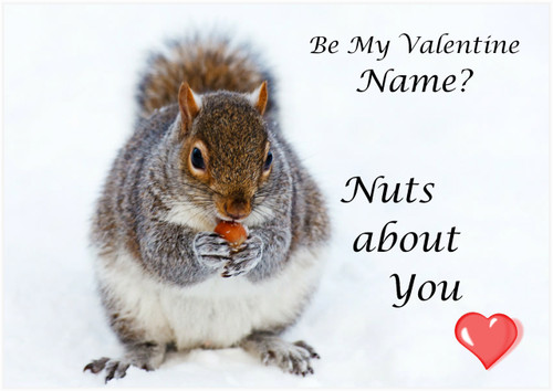 Nuts About You Valentine - Personalised