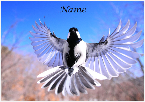 Free Flight - Personalised