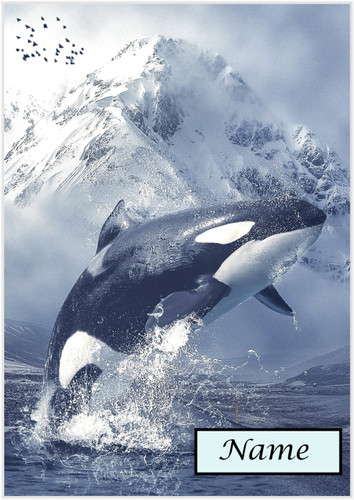 Orca Leap - Personalised