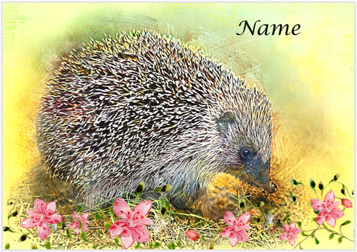 Foraging Hedgehog - Personalised