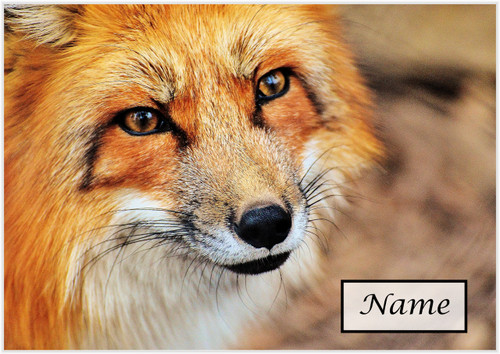 Fine Fox - Personalised