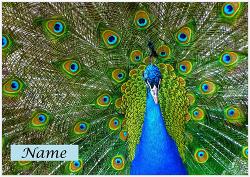 Peacock Realistic - Personalised