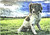 Spring Field Springer Spaniel - Personalised