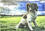 Spring Field Springer Spaniel - Personalised Example