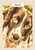 Springer Spaniel Portrait - Personalised Example