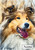 Rough Collie Portrait - Personalised