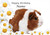 Daisy Guinea Pig - Personalised