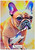 French Bulldog Watercolour - Personalised