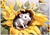 Painted Sunflower Mouse - Personalised Example