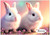 Baby Bunnies in Bloom - Personalised Example