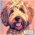LabradorableDoodle - Personalised Example