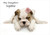 Bulldog Puppy Rose - Personalised Example