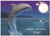 Moon Dolphin - Personalised Example