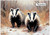 Badger Couple - Personalised