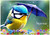 Baby Bluetit with Brolly - Personalised Example