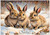 Triple Trouble Bunnies - Personalised