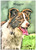 Brown Border Collie Painted - Personalised Example