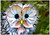 Fantasy Flower Owl - Personalised