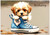 Fluffy Puppy in a Sneaker - Personalised Example