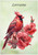 Red Cardinal - Personalised Example