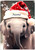 Ellie Wears a Santa Hat - Personalised