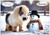 Cheeky Chubby Snow Pony - Personalised