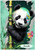 Panda & Bamboo - Personalised Example