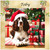Springer Spaniel in a Santa Hat - Personalised Example