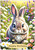 Chubby Bunny in the Meadow - Personalised Example