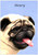 Soft Chubby Pug - Personalised Example