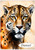 Beauty of the Big Cat - Male - Personalised Example