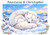 Arctic Fox at Rest - Personalised Example