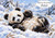 Cheeky Snow Panda - Personalised Example