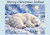 Peaceful Polar Bear under Moonlit Sky - Personalised Example