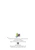 Golden Retriever Puppy - Back of Card